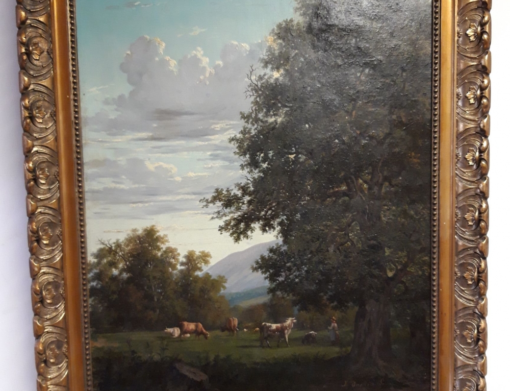 Livre Hélène Pourra Anselmier Au Violon d'Ingres